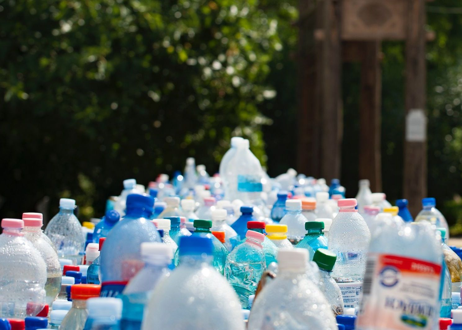 Plouă cu plastic. Oamenii de știință au descoperit particule din microplastic în picăturile de ploaie Ploua Cu Plastic Oamenii De Stiinta Au Descoperit Particule Din Microplastic In Picaturile De Ploaie
