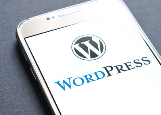 Alerta de securitate pentru 60 de milioane de utilizatori Wordpress Alerta De Securitate Pentru 60 De Milioane De Utilizatori Wordpress