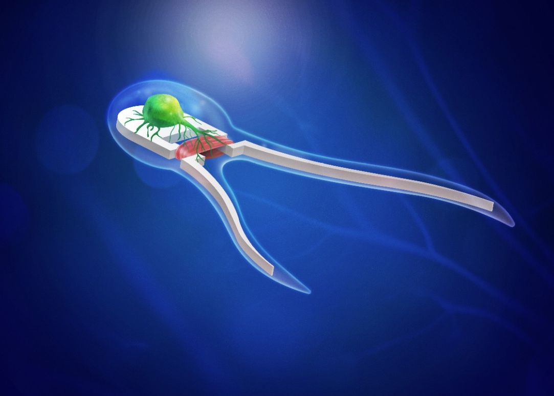 Inventia Care Ar Putea Revolutiona Medicina Ce Sunt Biorobotii Hibrizi