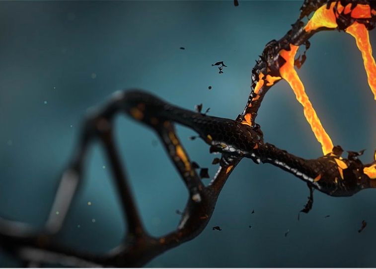 Noua Metoda Cu Ajutorul Careia Omenirea Ar Putea Elimina Definitiv Bolile Ereditare