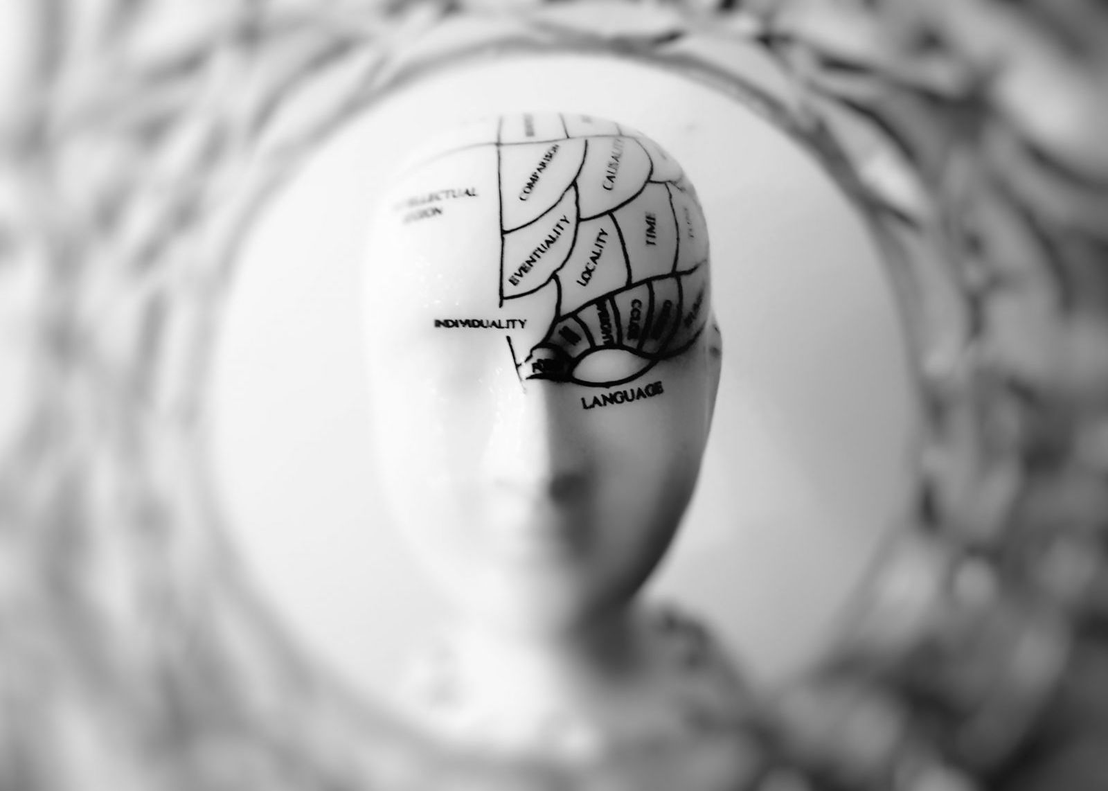 Cât de departe poți merge, în numele științei? Creierele umane dezvoltate în laborator, la limita dintre inovație și controversă Cat De Departe Poti Merge In Numele Stiintei Creierele Umane Dezvoltate In Laborator La Limita Dintre