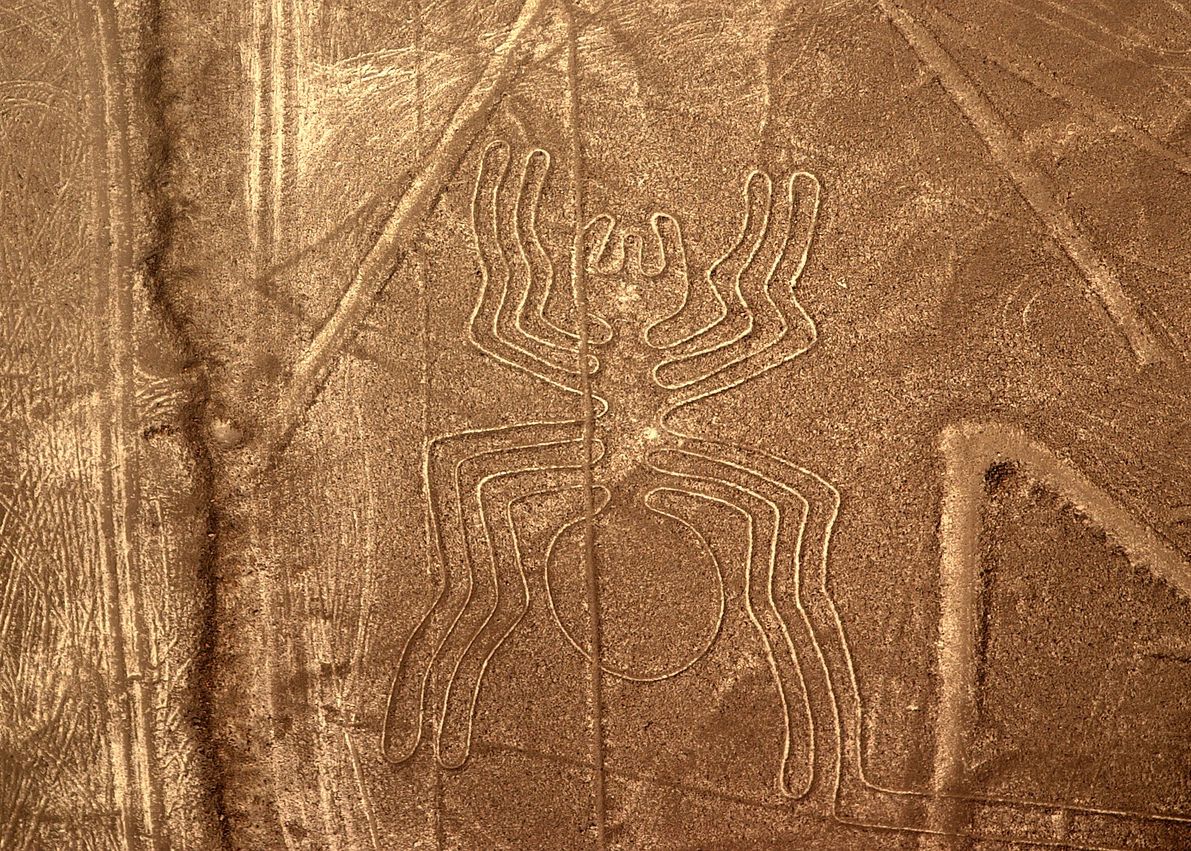 Au Iesit La Iveala Inca 140 De Linii Nazca Misterul Desenelor Uriase Vechi De Mii De Ani
