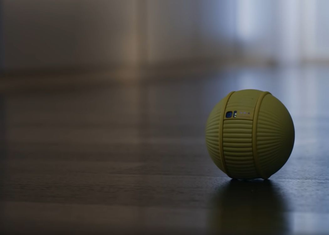 Asistentul Viitorului Creat De Samsung Ce Poate Face Robotul Ballie