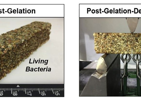Cercetatorii Au Creat Zbetonul Viu Care Se Repara Singur Atunci Cand Apar Fisuri