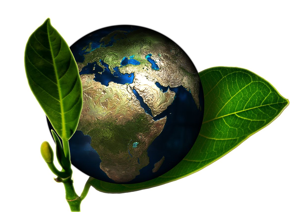 (P) 5 Beneficii ale Ambalajelor Compostabile P 5 Beneficii Ale Ambalajelor Compostabile