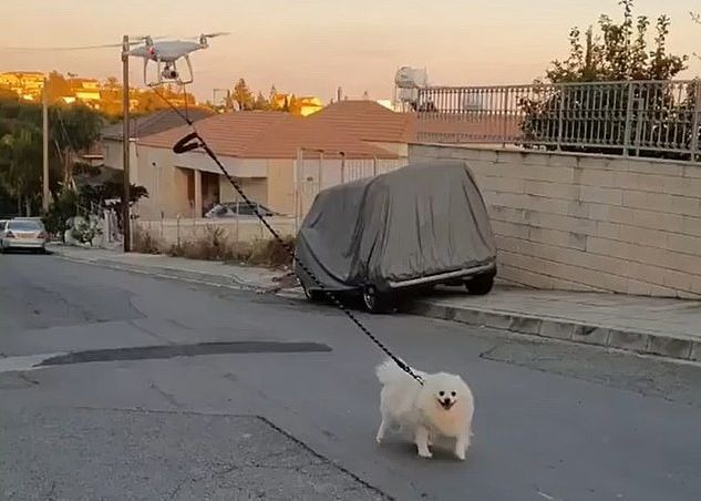 Ca Sa Respecte Carantina Un Barbat Si A Scos Cainele La Plimbare Cu Drona