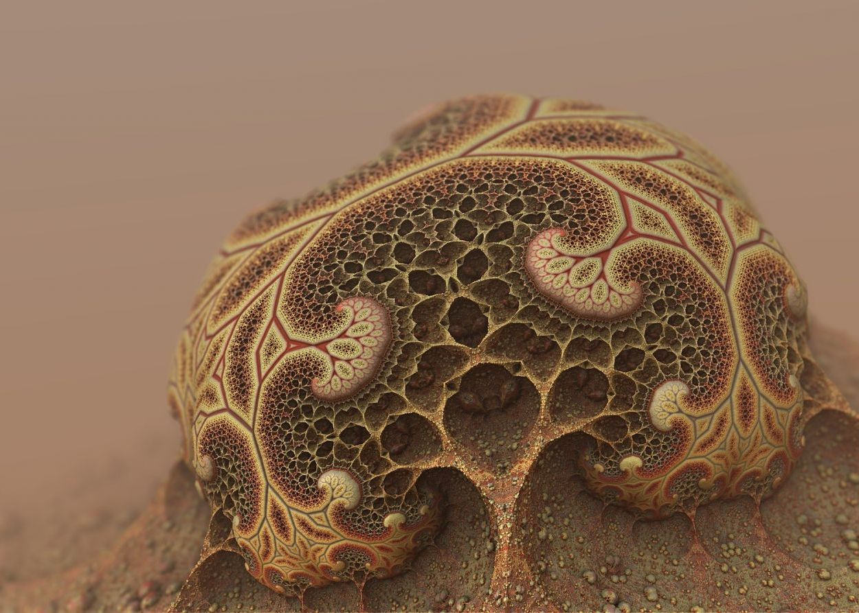 Creaturi Descoperite In Adancurile Oceanelor Indicii Pentru Cautarea Vietii Pe Marte Zam Crezut Ca Este