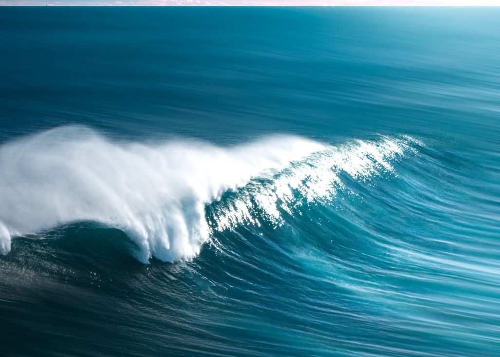 Oceanele lumii captează de două ori mai mult carbon decât credeau specialiștii Oceanele Lumii Capteaza De Doua Ori Mai Mult Carbon Decat Credeau Specialistii