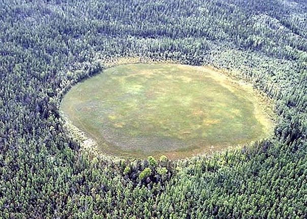 O nouă teorie despre misteriosul „fenomen Tunguska”. Ce s-a întâmplat de fapt în Siberia? O Noua Teorie Despre Misteriosul Zfenomen Tunguska Ce S A Intamplat De Fapt In Siberia