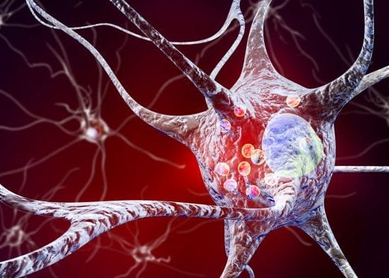 Avans Incredibil In Tratarea Uneia Bolile Incurabile Care Macina Omenirea Reusita Cercetatorilor A Determinat