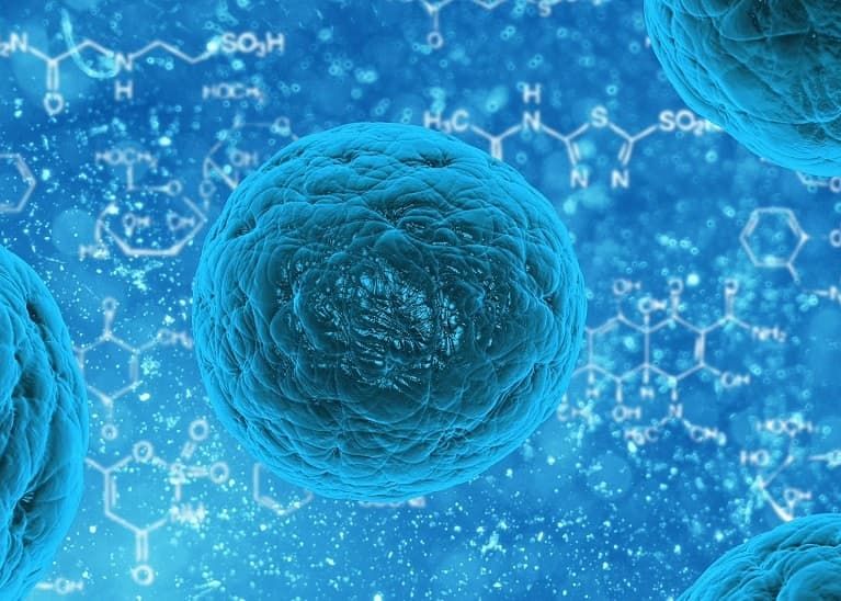 Zomul Invizibil Mai Aproape De Realitate Ca Oricand Cercetatorii Au Reusit Sa Obtina Celulele Umane Cu