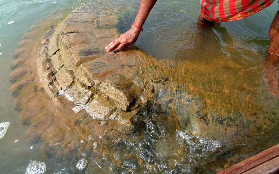 Descoperire Incredibila Dupa Doua Secole Indiciul Gasit De Arheologi Care A Revelat Ceva La Care Nimeni