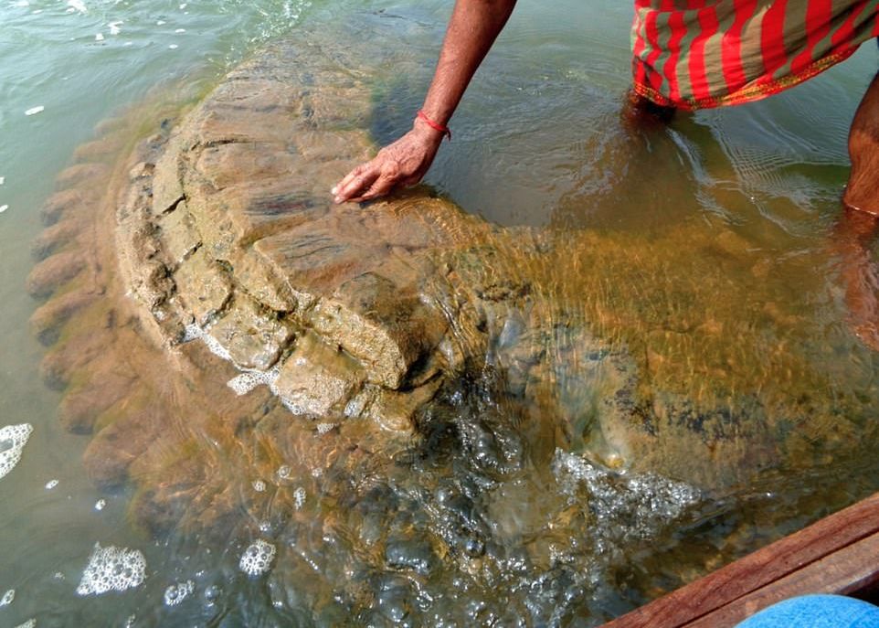 Descoperire Incredibila Dupa Doua Secole Indiciul Gasit De Arheologi Care A Revelat Ceva La Care Nimeni