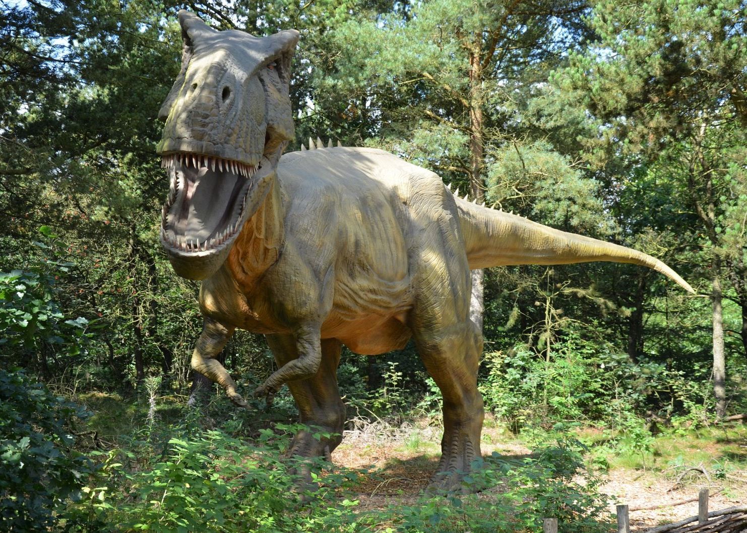 Cum era să trăiești pe vremea dinozaurilor? Google îi aduce chiar la tine în casă, datorită unei noi funcții Cum Era Sa Traiesti Pe Vremea Dinozaurilor Google Ii Aduce Chiar La Tine In Casa Datorita Unei Noi Functii