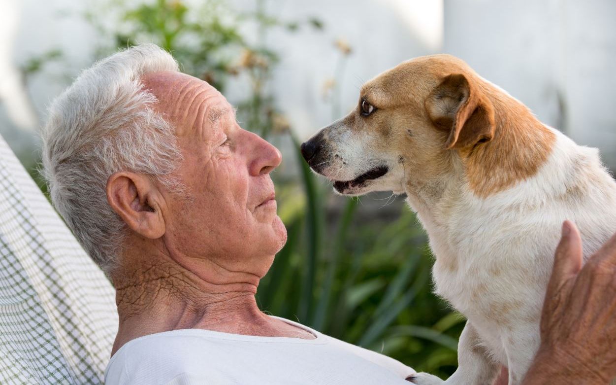 Vrei să știi câți ani are, de fapt, câinele tău? Cercetătorii au răspunsul corect Vrei Sa Stii Cati Ani Are De Fapt Cainele Tau Cercetatorii Au Raspunsul Corect