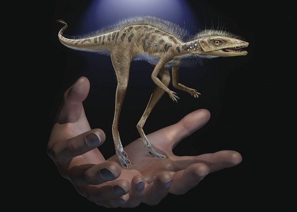 Cea Mai Neasteptata Descoperire Ce Au Aflat Cercetatorii Despre Stramosii Dinozaurilor