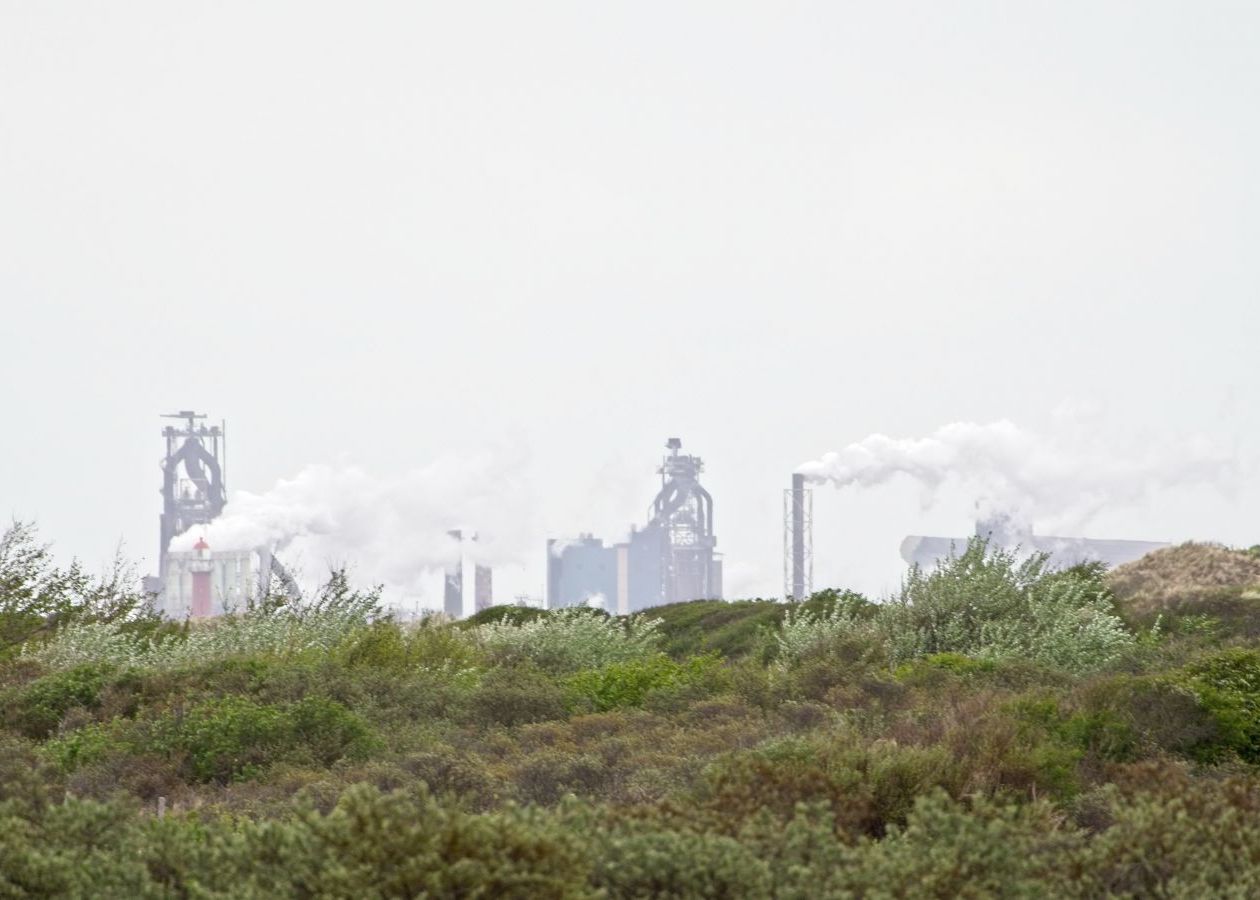 (P) Poluarea și afecțiunile cauzate de aceasta P Poluarea Si Afectiunile Cauzate De Aceasta