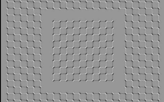 O iluzie optică ”intensă” a împărțit internetul în două O Iluzie Optica Intensa A Impartit Internetul In Doua