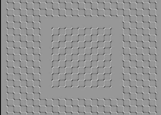 O iluzie optică ”intensă” a împărțit internetul în două O Iluzie Optica Intensa A Impartit Internetul In Doua