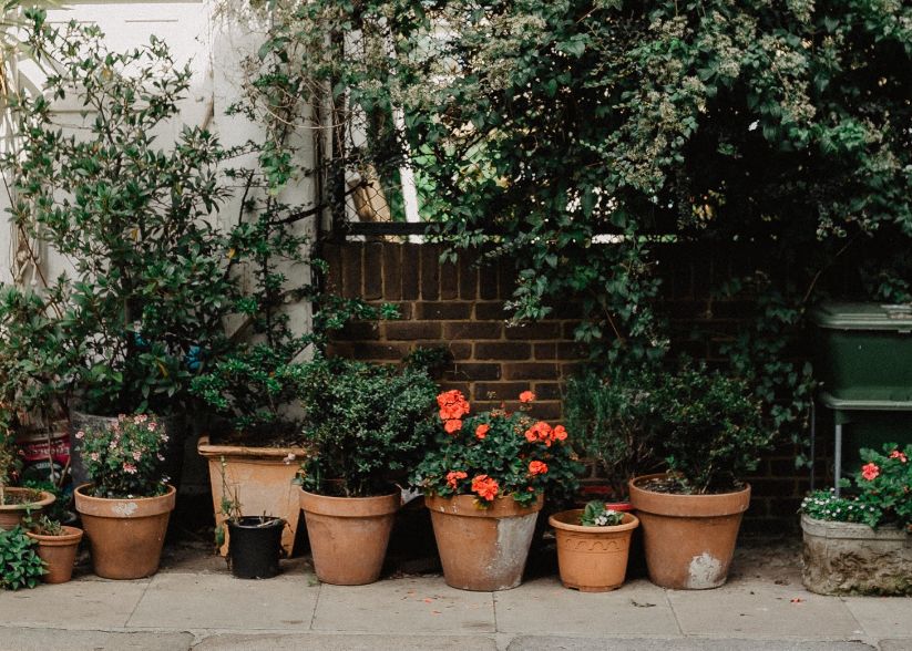 (P) Top 5 trenduri de amenajare a grădinii în 2020 P Top 5 Trenduri De Amenajare A Gradinii In 2020