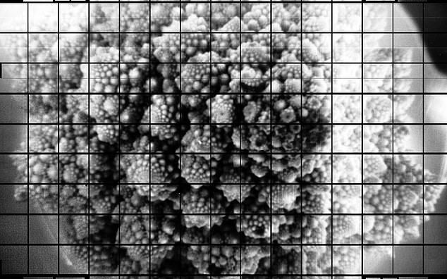 Cum Arata Fotografia De 3 Miliarde De Pixeli Imaginea Este Cu Adevarat Impresionanta