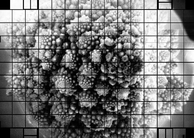 Cum Arata Fotografia De 3 Miliarde De Pixeli Imaginea Este Cu Adevarat Impresionanta