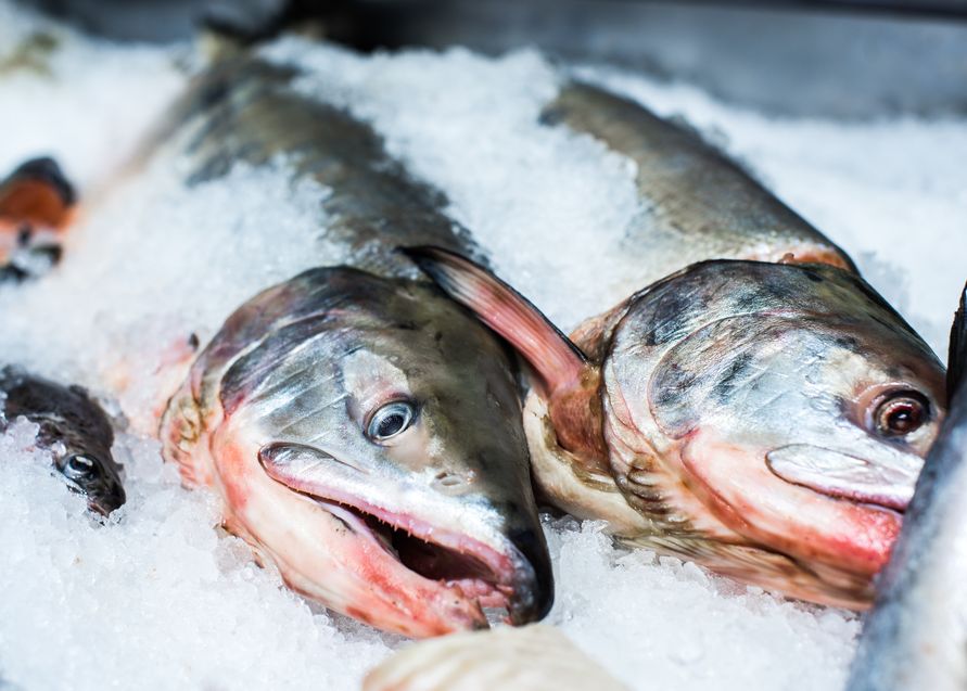 Coronavirusul Poate Rezista Pana La O Saptamana Pe Pestele Congelat Concluzia Ingrijoratoare A Unui Studiu