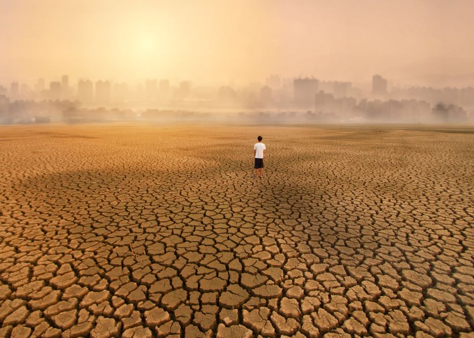 Statistica Alarmanta Vara 2020 Cea Mai Calda Din Istorie In Emisfera Nordica