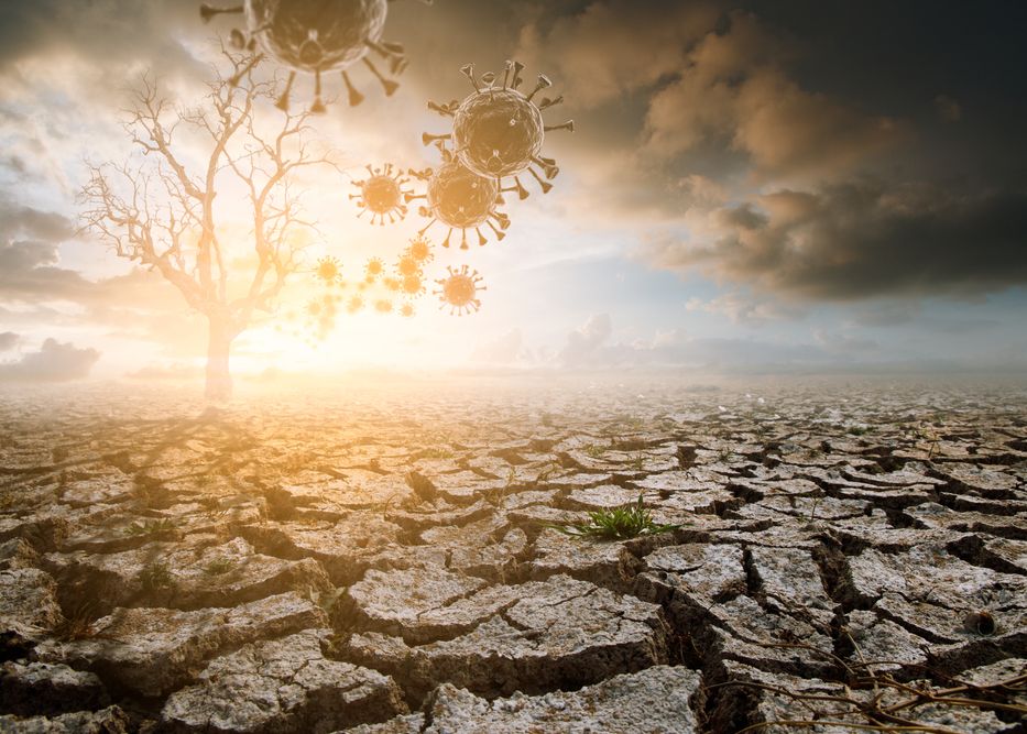 Încălzirea globală e mai periculoasă decât am fi crezut: face virusurile mai greu de ucis Incalzirea Globala E Mai Periculoasa Decat Am Fi Crezut Face Virusurile Mai Greu De Ucis