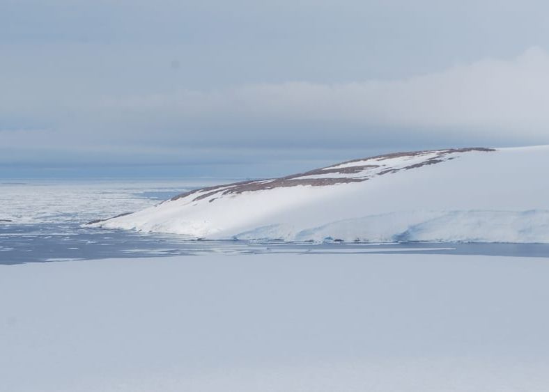Topirea Gheturilor In Antarctica A Scos La Iveala Detalii Incredibile Ce Au Gasit Oamenii De Stiinta Dupa