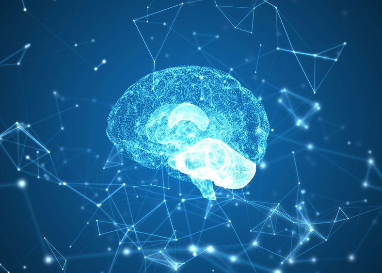 Hormonul foamei are impact asupra memoriei. Cât de strânsă este conexiunea dintre intestin și creier Hormonul Foamei Are Impact Asupra Memoriei Cat De Stransa Este Conexiunea Dintre Intestin Si Creier