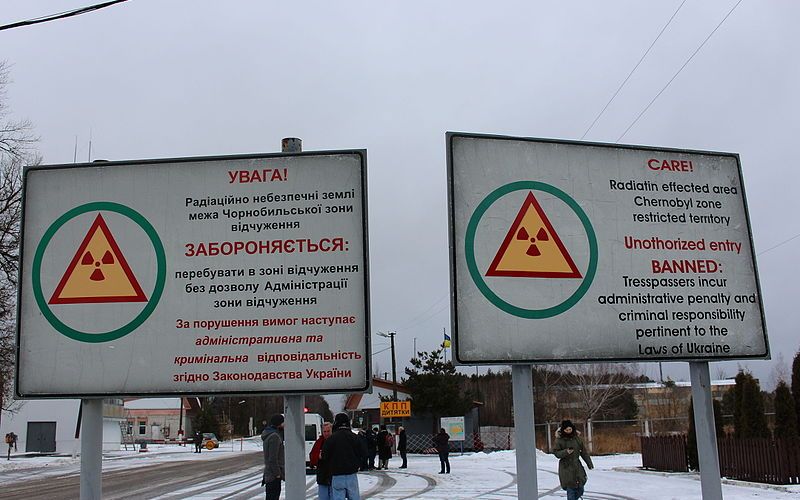 Cele Mai Rezistente Fiinte De Pe Pamant Pot Supravietui Chiar Si Radiatiilor Mortale De La Cernobil