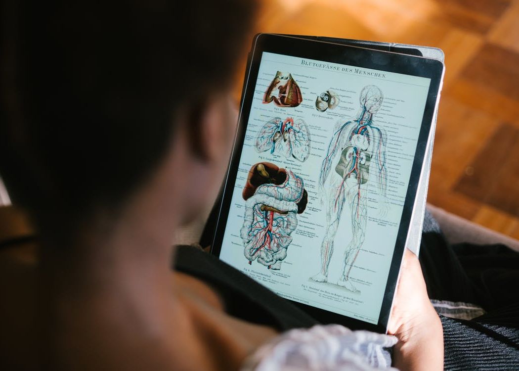 Cercetatorii Au Descoperit Un Nou Organ In Corpul Uman Ce Rol Are Si Unde Este Localizat