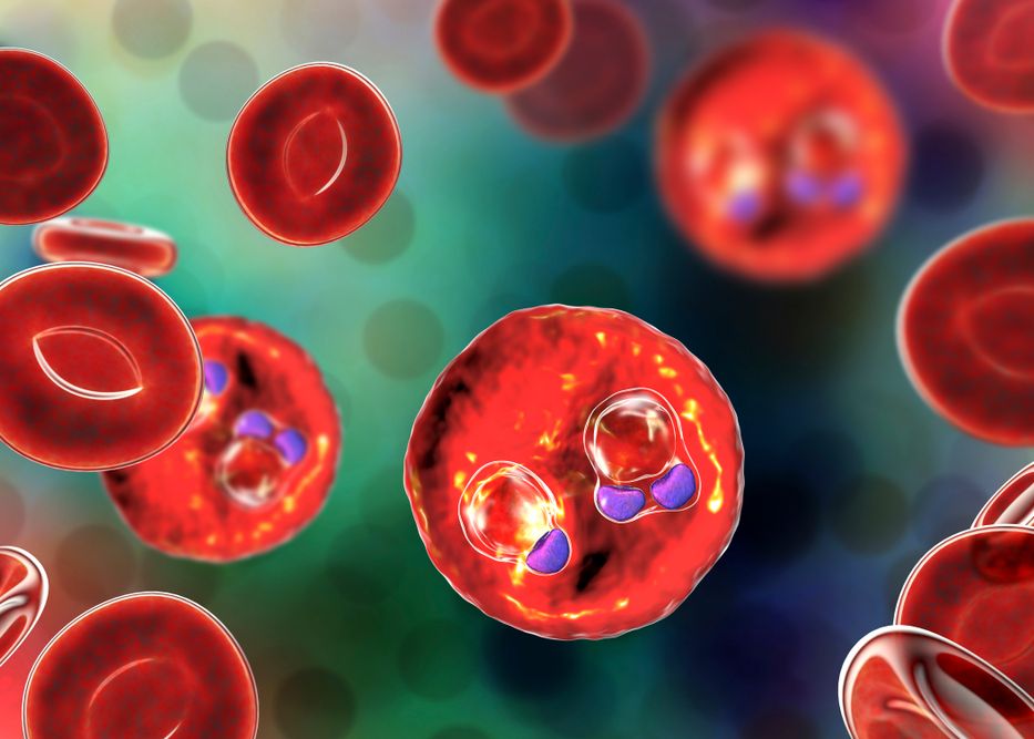 Această boală va ucide mai mulți oameni decât COVID-19. Avertismentul specialiștilor Aceasta Boala Va Ucide Mai Multi Oameni Decat Covid 19 Avertismentul Specialistilor