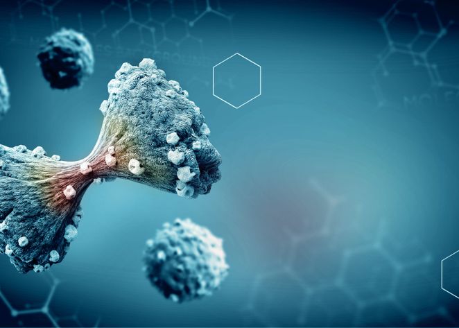 A Fost Creat Virusul Care Ataca Celulele Canceroase Dar Le Lasa Intacte Pe Cele Sanatoase