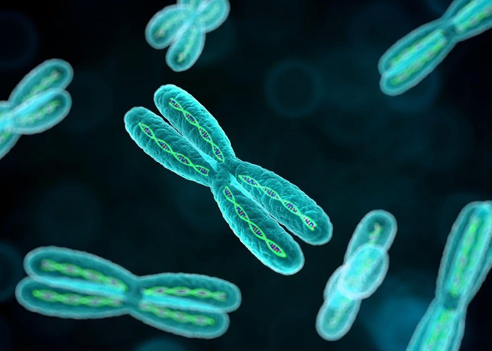 Gena Misterioasa Descoperita In Corpul Uman Care Permite Inversarea Procesului De Imbatranire