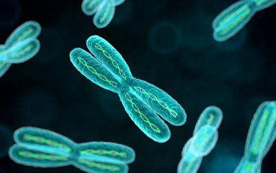 Gena misterioasă descoperită în corpul uman care permite inversarea procesului de îmbătrânire