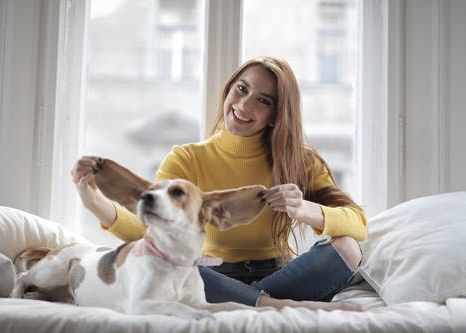 Cainele Tau Chiar Intelege Ce I Spui Concluzia Neasteptata A Cercetatorilor