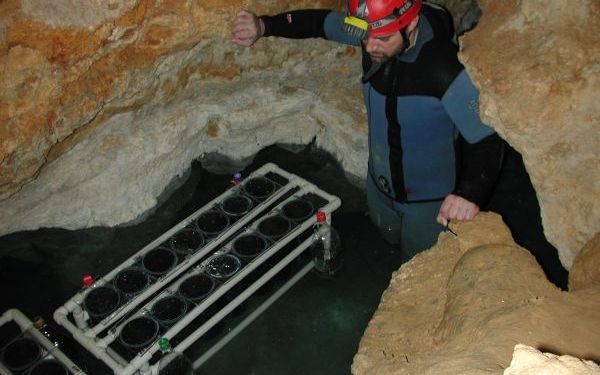 Descoperire Incredibila Intr O Pestera Din Romania A Fost Numit Zregele Pesterii