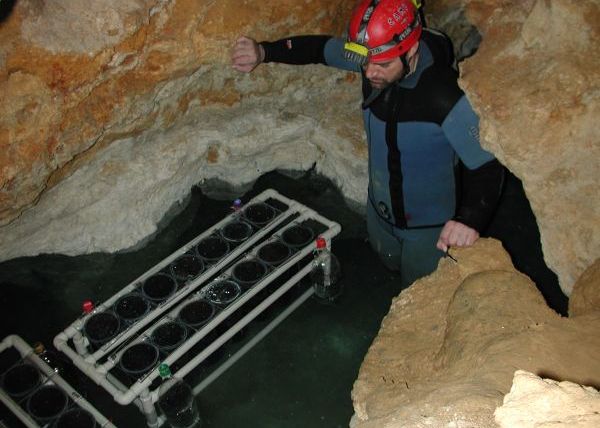 Descoperire Incredibila Intr O Pestera Din Romania A Fost Numit Zregele Pesterii