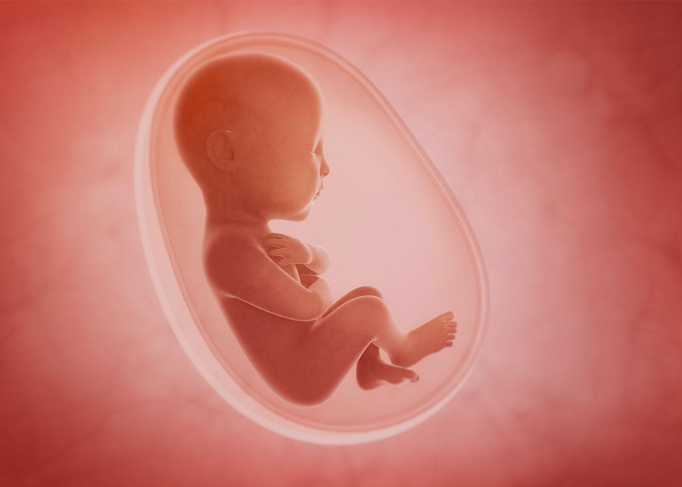 Oamenii de știință, șocați după ce au analizat placente provenite de la mai multe mame. „Nou născutul ar fi ca un cyborg” Oamenii De Stiinta Socati Dupa Ce Au Analizat Placente Provenite De La Mai Multe Mame Znou Nascutul Ar