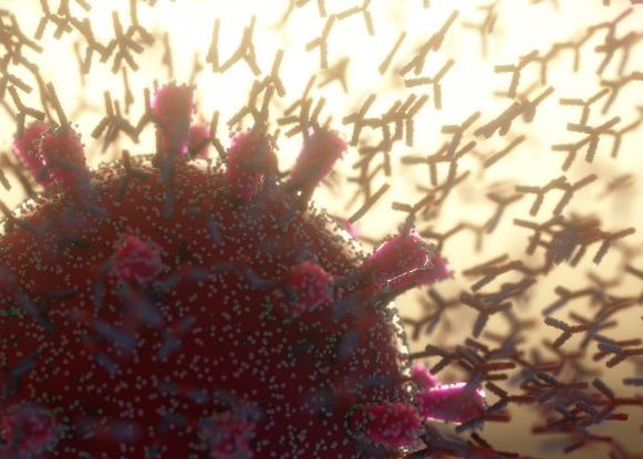 Ce Este De Fapt Virusul Sars Cov2 Concluzia Neasteptata A Cercetatorilor