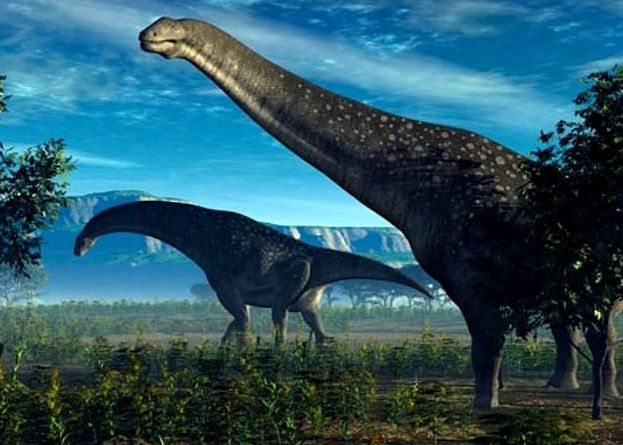 Paleontologii Au Gasit Ramasitele Celui Mai Mare Animal Care A Existat Vreodata Pe Terra