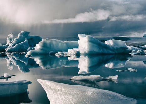 Specii necunoscute, descoperite sub gheața din Antarctica. Biologii spun că nu ar trebui să existe Specii Necunoscute Descoperite Sub Gheata Din Antarctica Biologii Spun Ca Nu Ar Trebui Sa Existe