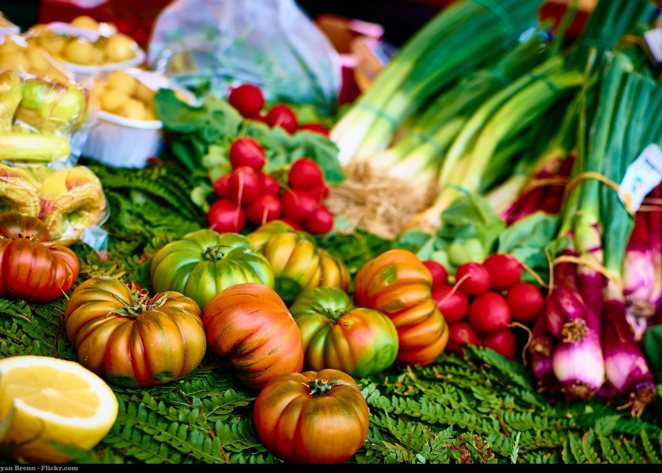 Ce Se Intampla De Fapt Cand Tinem Cura De Slabire Afirmatia Surprinzatoare A Cercetatorilor