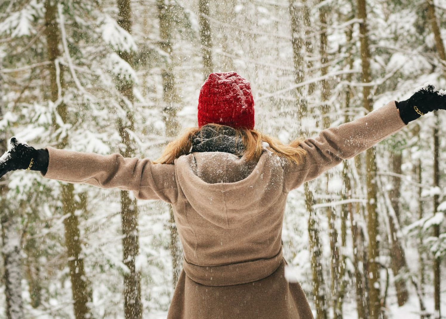 Esti Foarte Rezistent La Frig Ar Putea Fi Din Cauza Unei Mutatii Genetice
