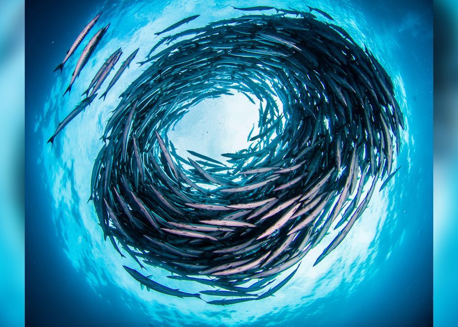 A Fost Descoperita O Noua Stare A Materiei Care Sfideaza Orice Lege A Fizicii