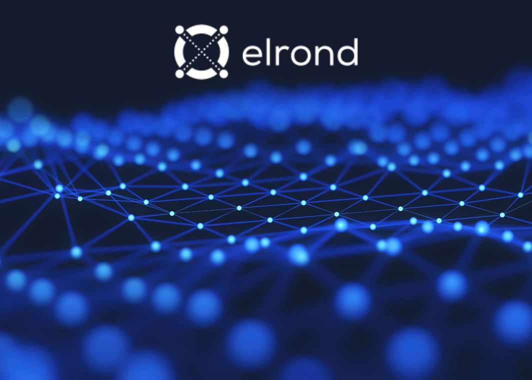 Ce este Elrond, cel mai nou unicorn românesc, o companie care vrea să cucerească lumea Ce Este Elrond Cel Mai Nou Unicorn Romanesc O Companie Care Vrea Sa Cucereasca Lumea