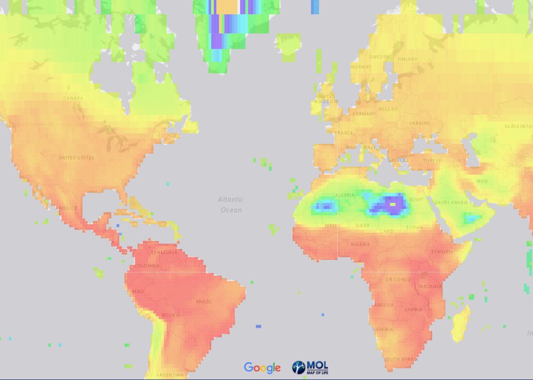 Noua Zharta A Vietii Arata Unde Traiesc Animalele Inca Necunoscute Pamantenilor 1