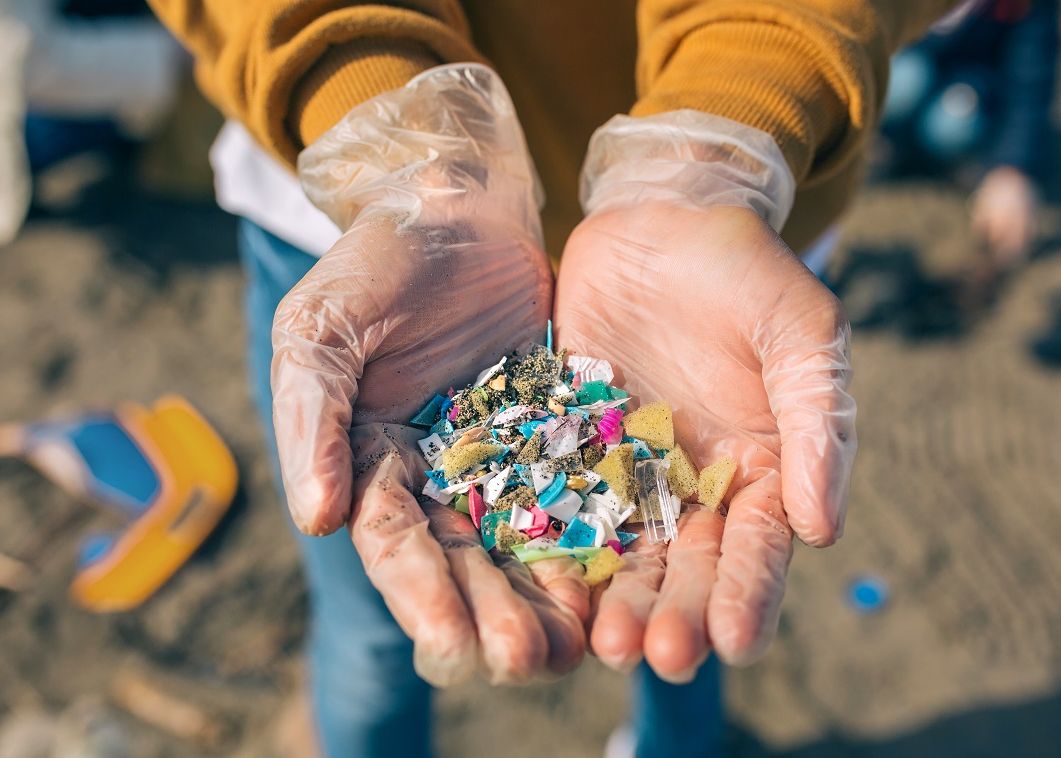 Semnal de alarmă al ecologiștilor. Particulele de microplastic au un întreg „circuit în natură” și sunt prezente și în aerul pe care îl respirăm Semnal De Alarma Al Ecologistilor Particulele De Microplastic Au Un Intreg Zcircuit In Natura Si Sunt